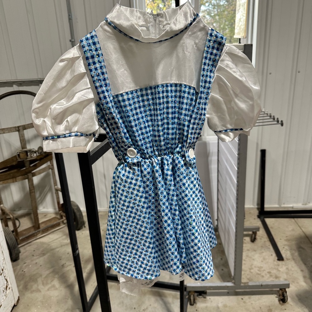 🔮 DOROTHY COSTUME 🌪️ 
The Wizard of Oz Blue and White Dress